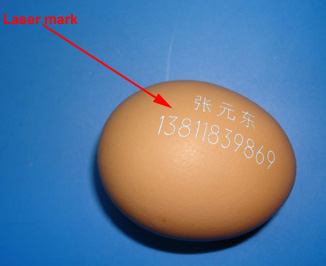 雞蛋行業(yè)