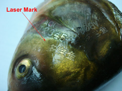 魚(yú)